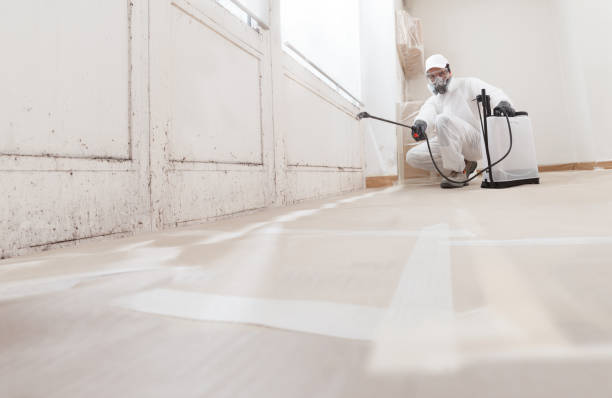 24/7 Emergency Mold Remediation experts in Nottingham, PA