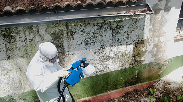 Top rated local Mold Remediation specialists in Nottingham, PA
